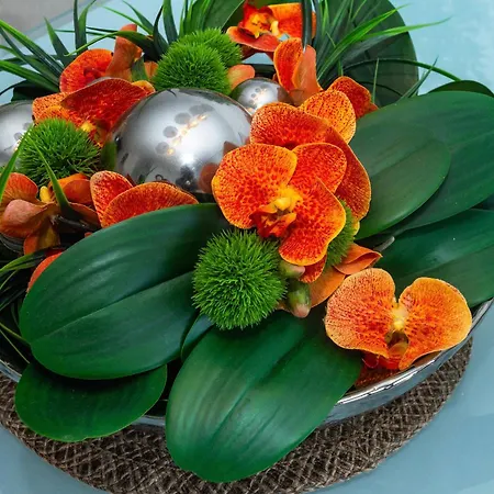 Luxurious Acebo 4 Bed, 4 Bath, Private Pool *