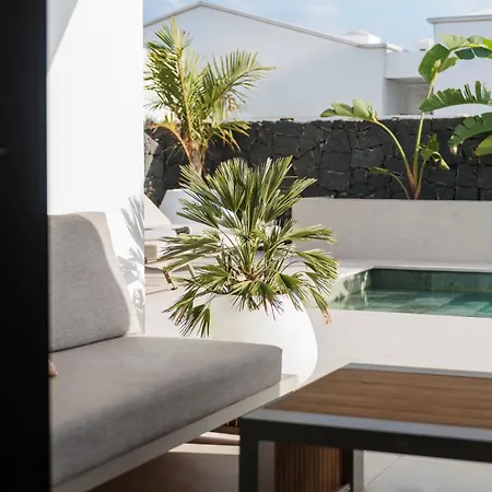 Βίλα Luxurious Acebo 4 Bed 4 Bath Private Pool Πλάγια Μπλάνκα