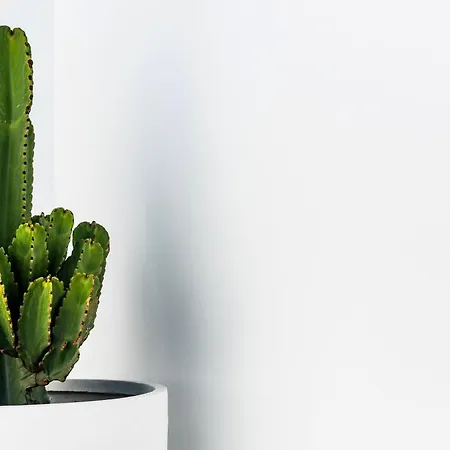 Luxurious Acebo 4 Bed, 4 Bath, Private Pool فيلة